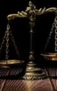 موسسه حقوقی