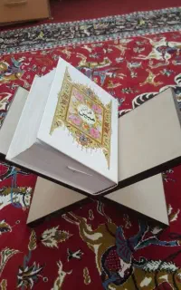 قرآن‌‌و‌‌فاتحه‌‌میخونم‌‌دوفزرندکوچکدارم‌م