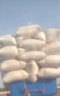 کاه گندم تحویل دامداری ها