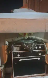 وانت تلفنی