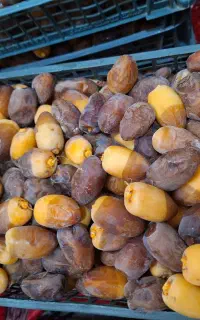 رطب درجه یک