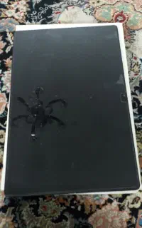 تبلت Galaxy Tab A8