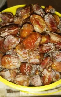 رطب کبکاب