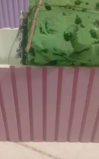 دوعدد باکس گل