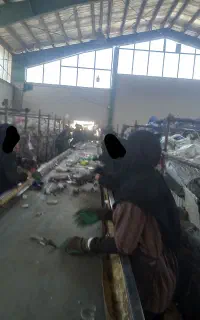 استخدام پرسنل خانم و آقا