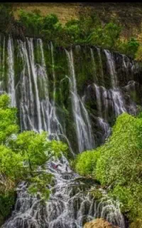 تور دزفول