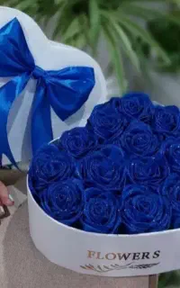 گل ربانی نازگل