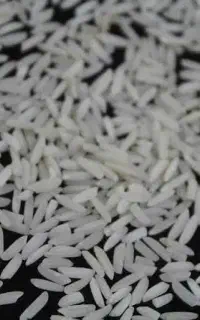 برنج طارم هاشمی امسال درجه یک