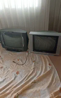 تلوزیون