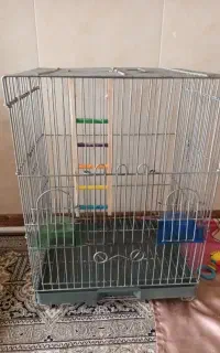 قفس