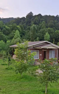 ویلای لب رودخانه جنگلی