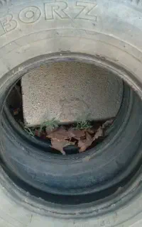 مجسمه لاستیک