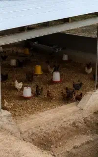 راهنمایی