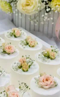 باکس بله برون
