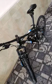 دوچرخه اینتنز