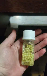 تخم حلزون