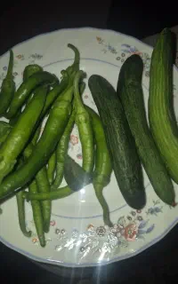 فروش خیار وفلفل تندو لوبیا سبر