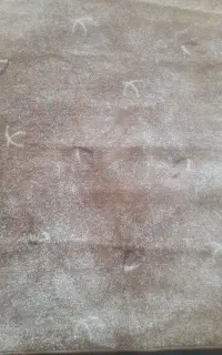 موکت پالاز دور دوز شده