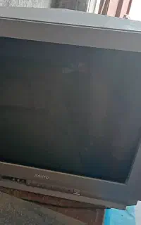تلویزیون