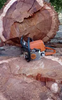 خریدارکلی وجزئی چوب درشیراز اطراف شیرازوشهرستان ها