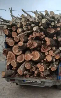 خرید انواع چوب