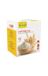 جوانه گندم کاملا اصل تضمینی عمده و تکی