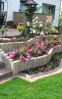باغبان باتجربه 25 سال درخرمشهر بشرط کار خوب و تمیز