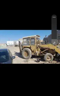 بیل بکو سالم آماده به کار