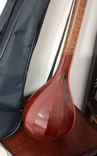 سه تار زیبا 3000000