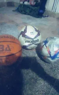 توپ بسکتبال و فوتبال برای چمن