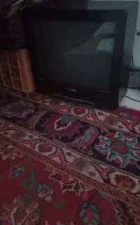 تلویزیون