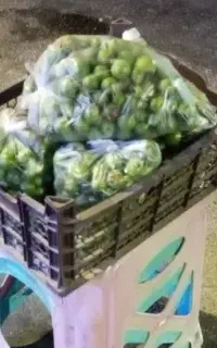 لمپج بسته 50