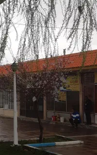 استخدام راننده با خودرو مدل بالا.