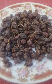 مویز