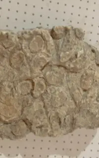 سنگ قدیمی