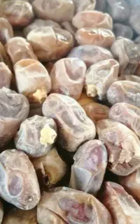 فروش فوری خرما کبکاب درجه یک