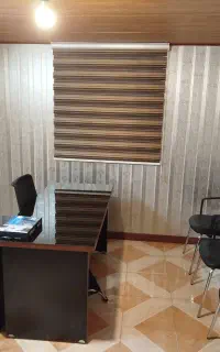 منشی خانم
