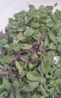 محصولات خانگی