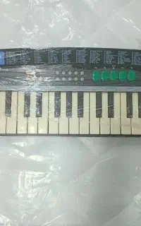 ارگ کاسیوفوما