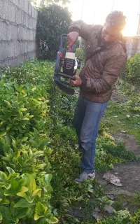 سمپاشی وباغبانی کل تهران و حومه با ضمانت و فاکتور
