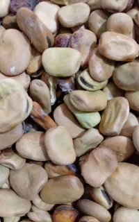 باقلی هفت بند