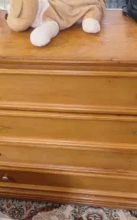 دلاور چوب