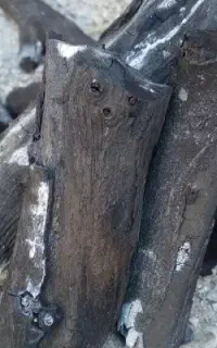 فروش چوب مرکبات درجه یک وزغال خوب