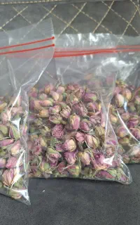 تخفیف ویژه غنچه گل محمدی