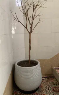 گلدان سفالی