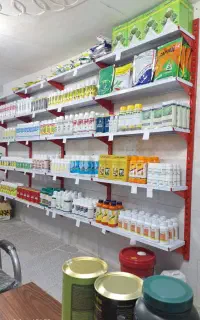 خدمات کشاورزی(سم کود بذر سمپاش)