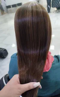 نیازمند یک مدل برای احیا سازی