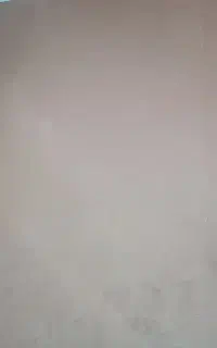 موکت در حد نو