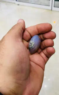 عقیق شجر دار معدنی
