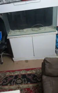 اکواریوم شیشه خم درحد اکبند